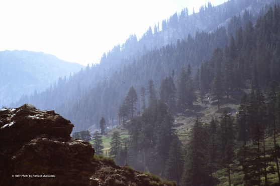 Early morning mist enshrouds a valley in Nuristan.