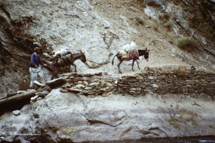 The further we went, our donkeys proved only Rahman Baig could keep them moving.