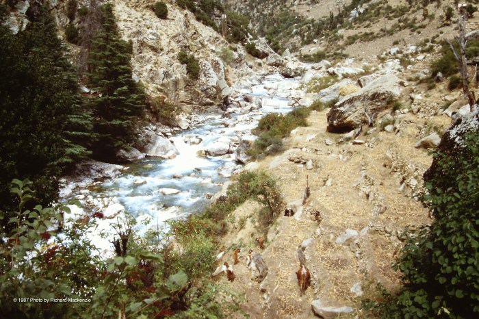 Below us, a raging river where no wrong step was allowed.