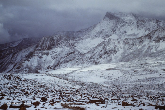 Above us, the snow line that awaited where every step was dangerous.